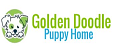 Goldendoodlepuppyhome