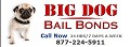 Big Dog Bail Bonds