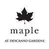 Maple at Descanso Gardens
